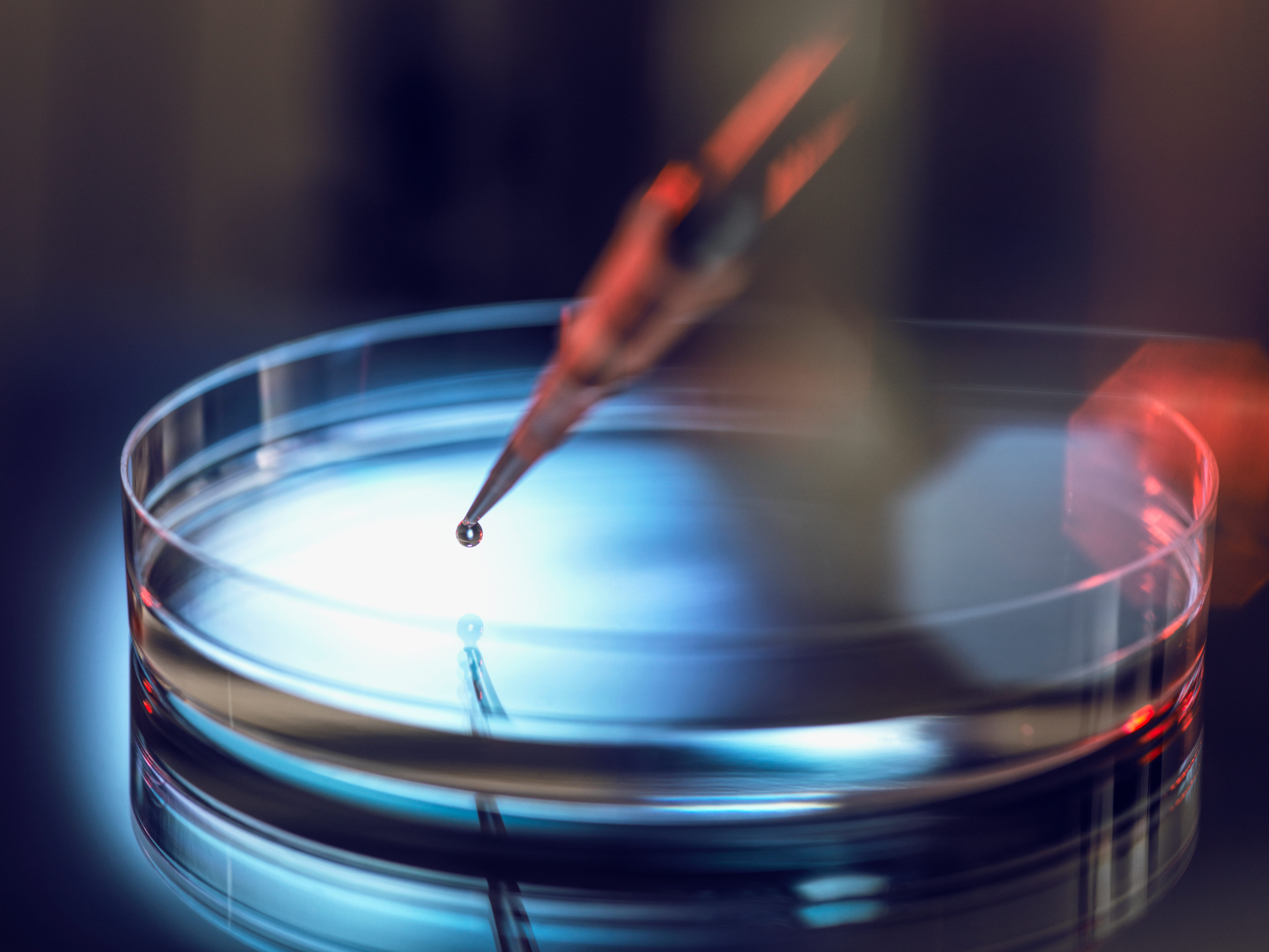 Abstracts-Science